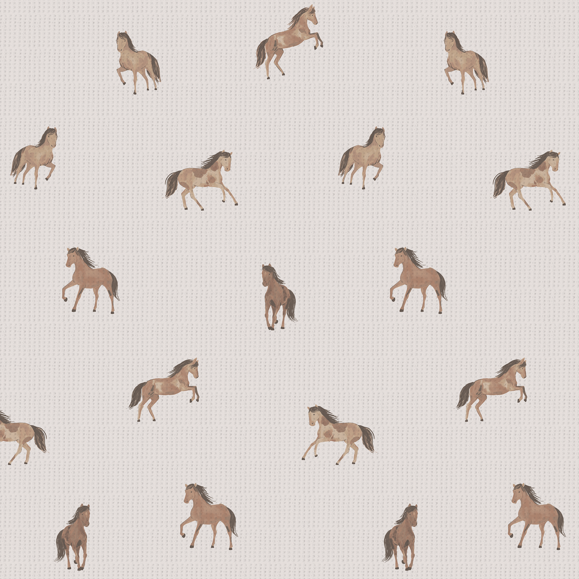 Mini Horses – Angel Dear