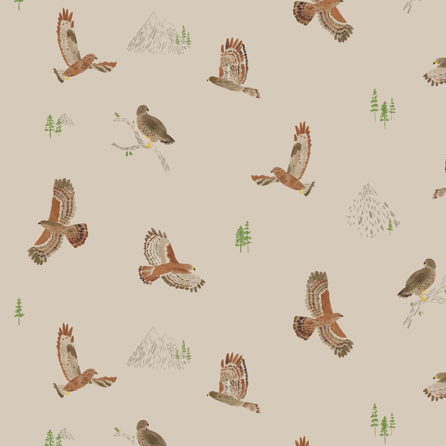 hawks birds wallpaper