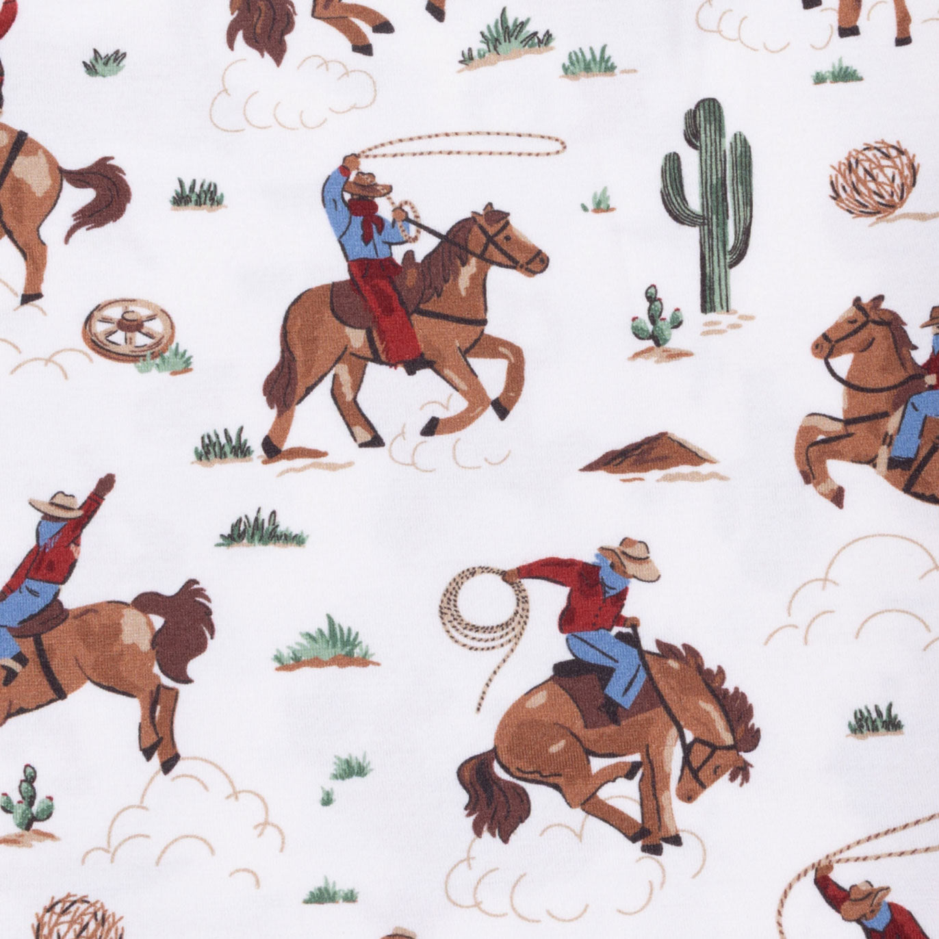 <!--SS26-->Buckaroo Western