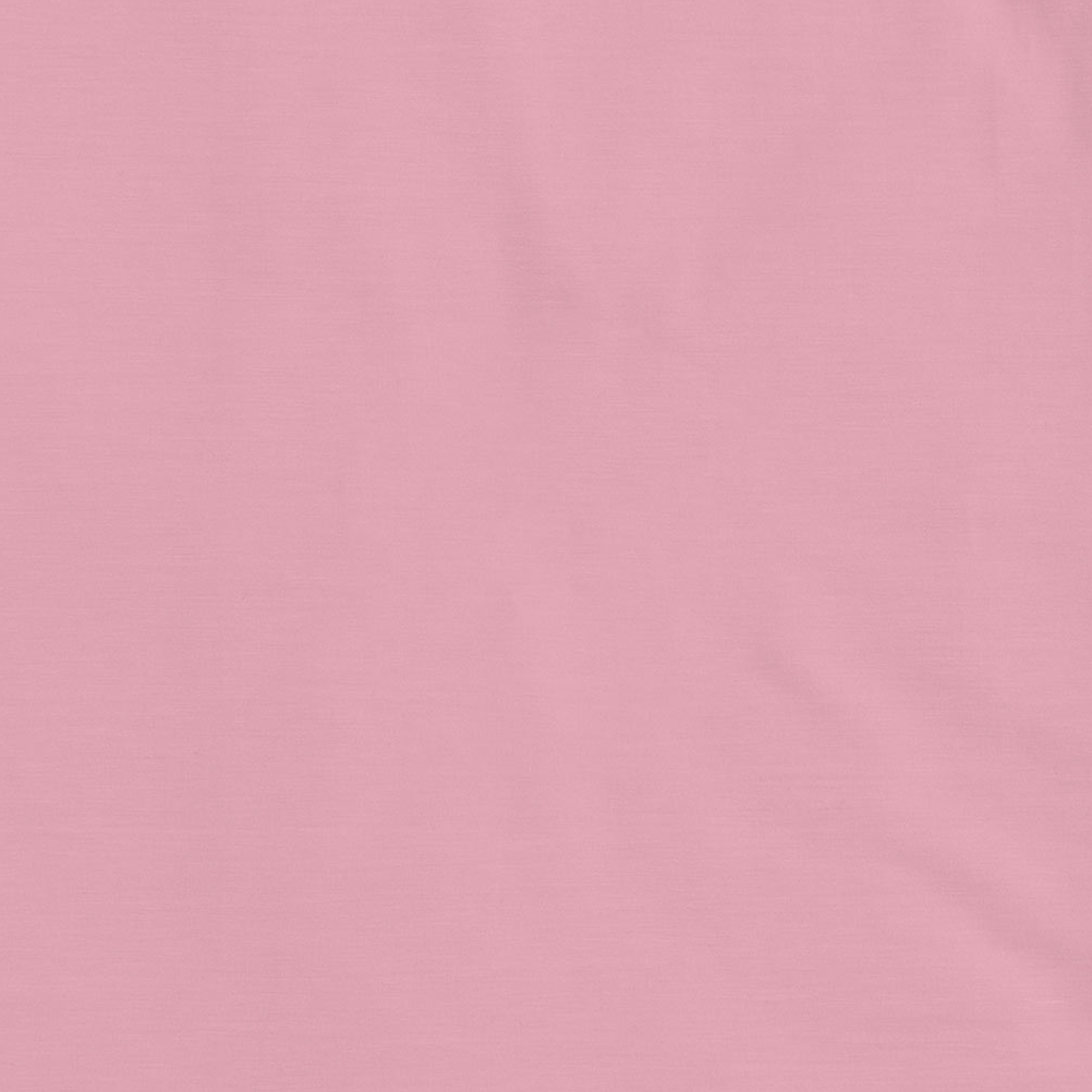 <!--FW25--> Cameo Pink