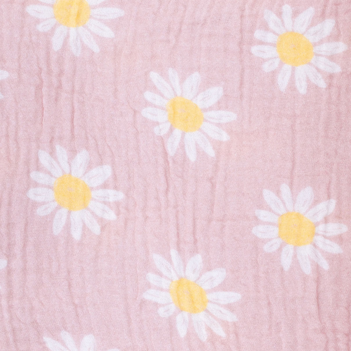 <!--SS26--> Caitlyn’s Daisy