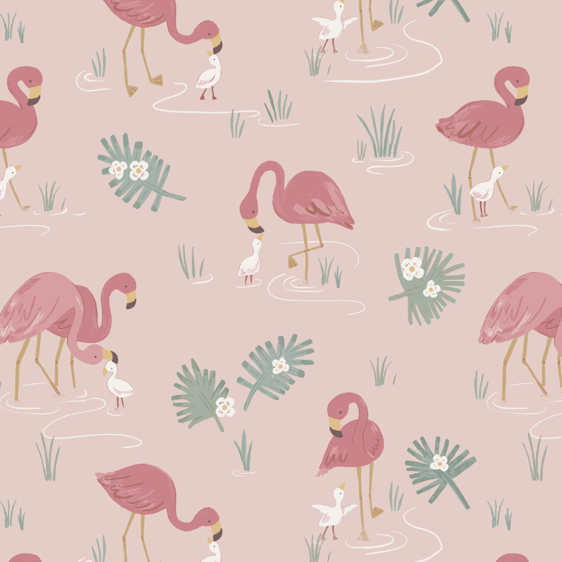 <!--SS26-->Flamingos