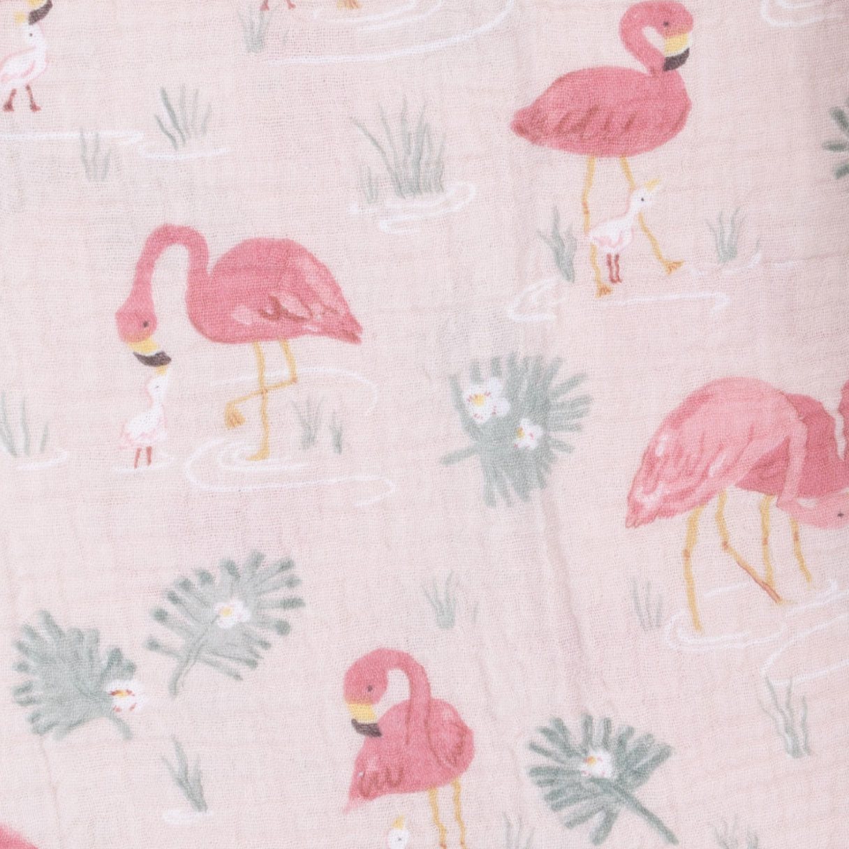 <!--SS26-->Flamingos