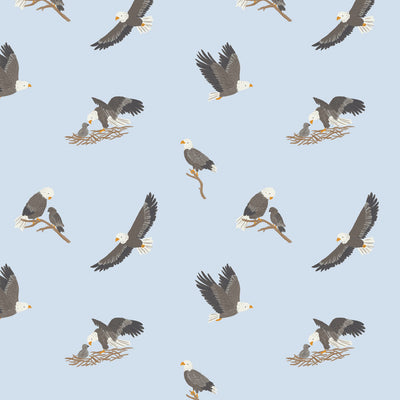 FW24 Woodland - Bald Eagles