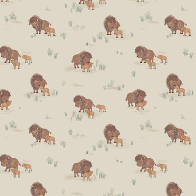 FW24 Woodland - Bison Families