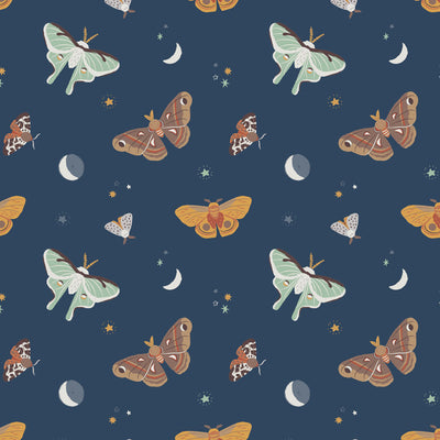 FW24 Woodland - Moths