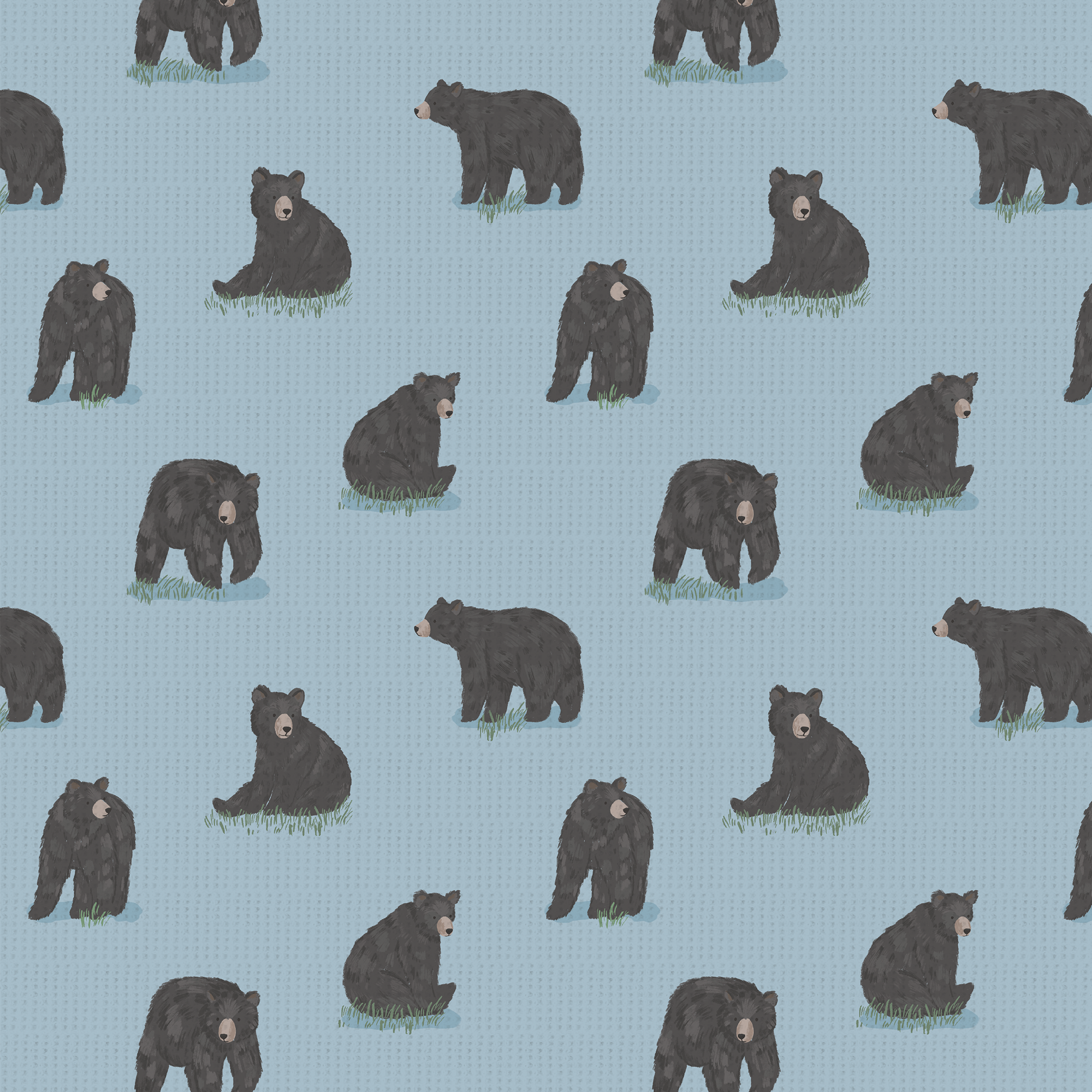 <!--FW25--> Black Bears