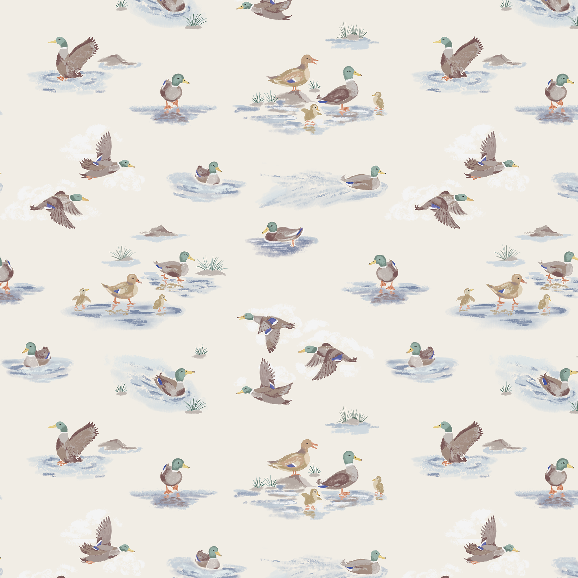 <!--FW25--> Migrating Mallards