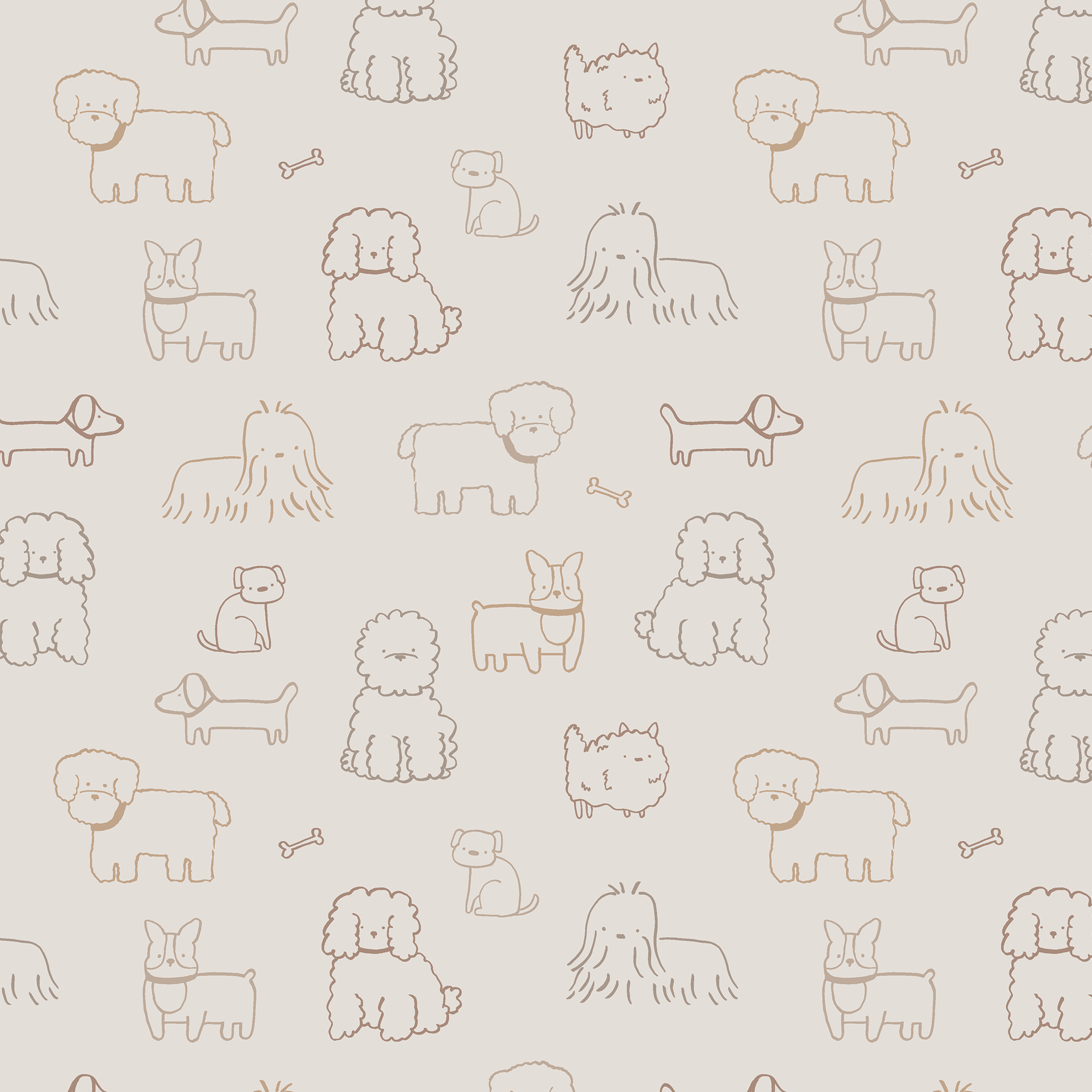 <!--FW25--> Neutral Pups