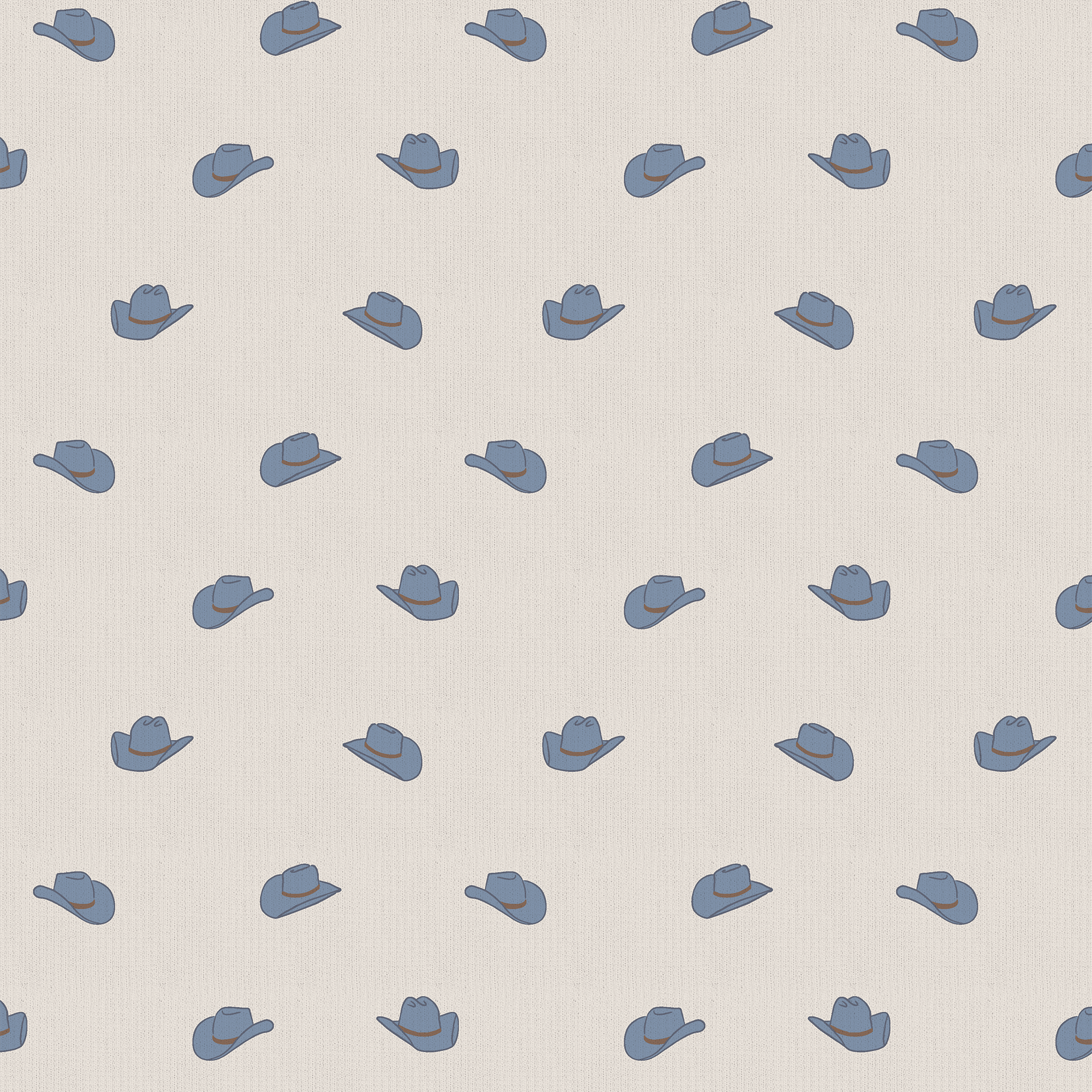 <!--FW25--> Petite Cowboy Hats