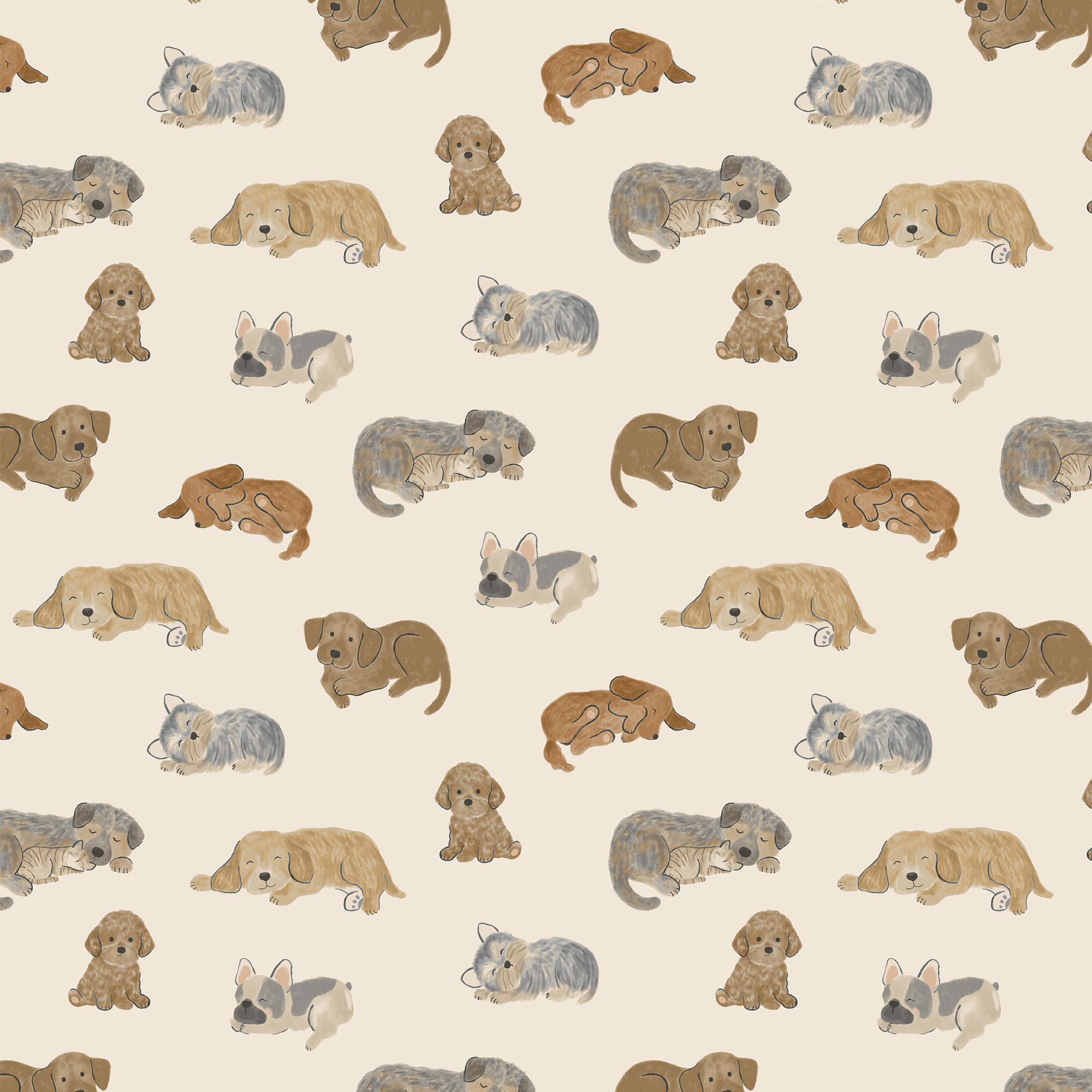 <!--FW25--> Napping Puppies