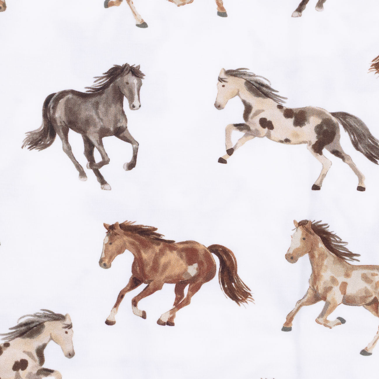 <!--FW26-->Wild Horses