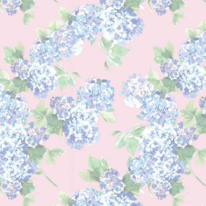 <!--SS26-->Hydrangeas