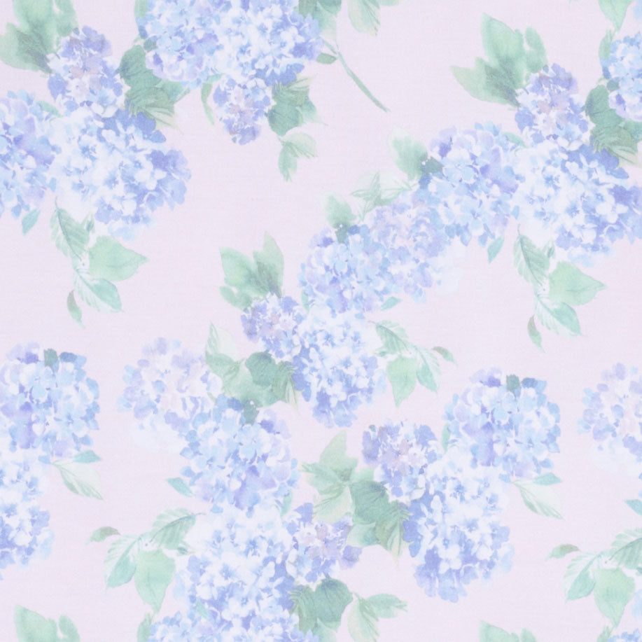 <!--SS26-->Hydrangeas
