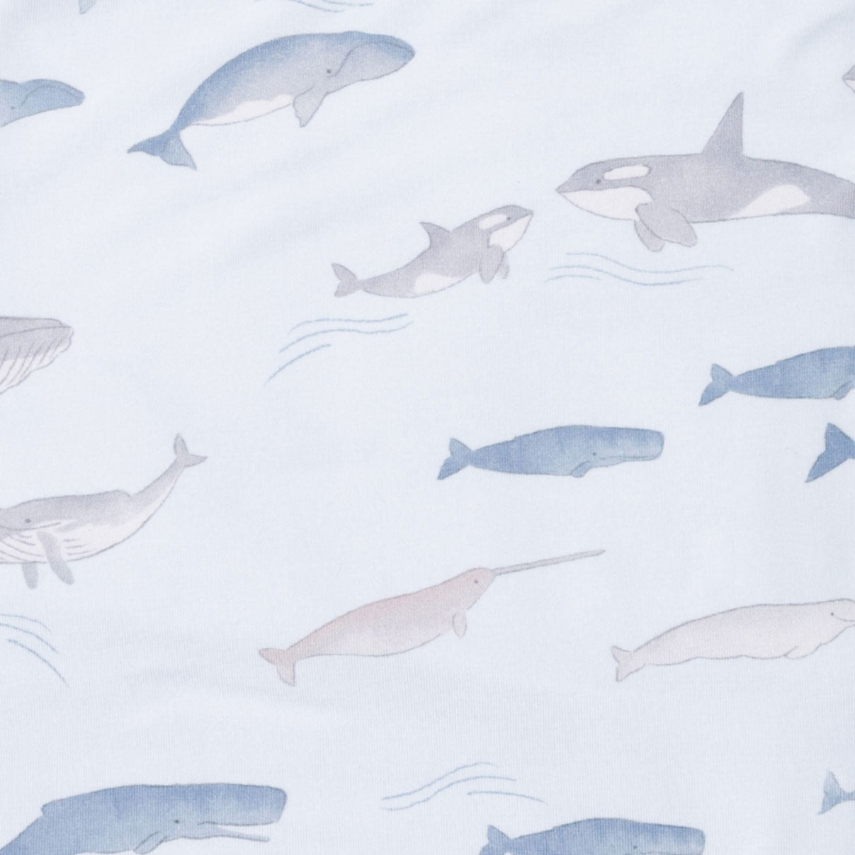 <!--SS26-->Little Whales