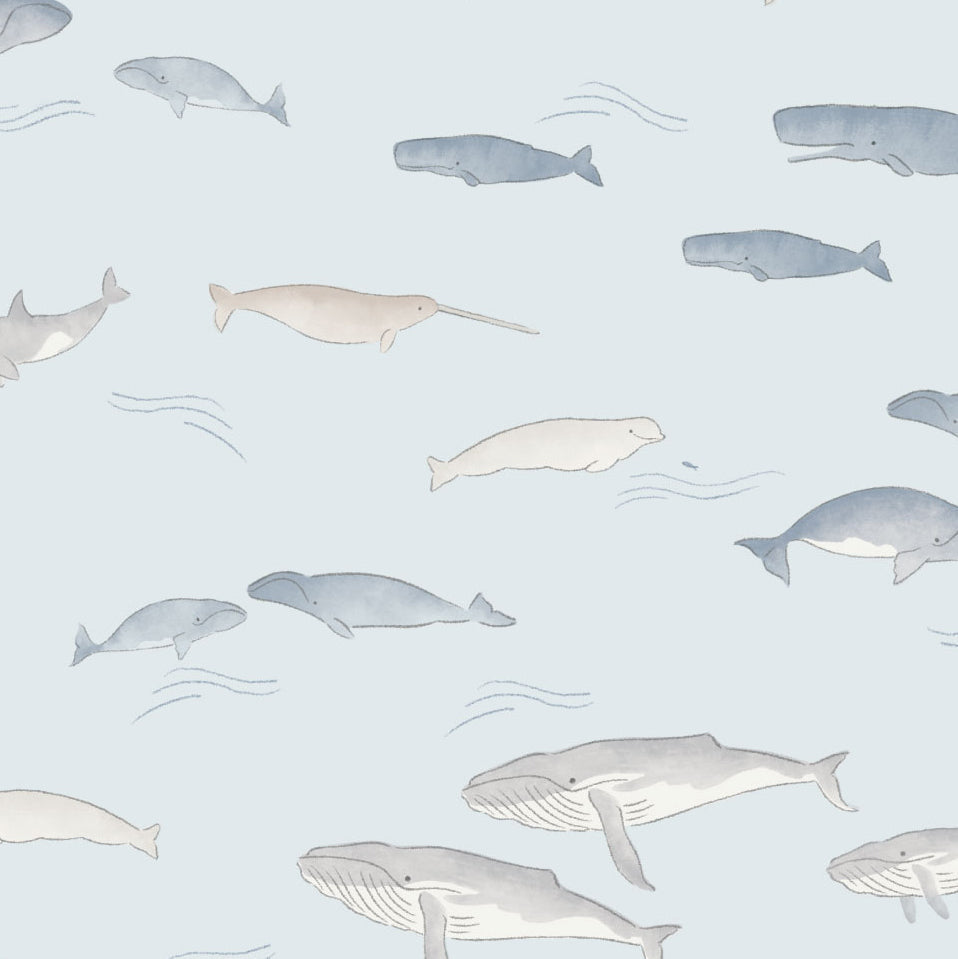 <!--SS26-->Little Whales