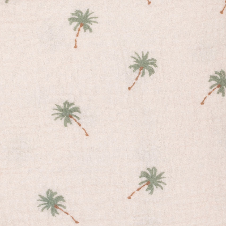 <!--SS26-->Palm Trees