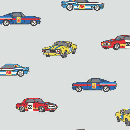 <!--SS26-->Race Cars