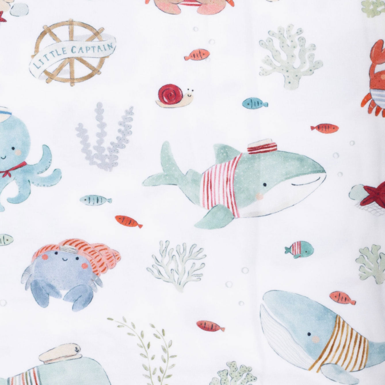 <!--SS26-->Sailor Sea Creatures