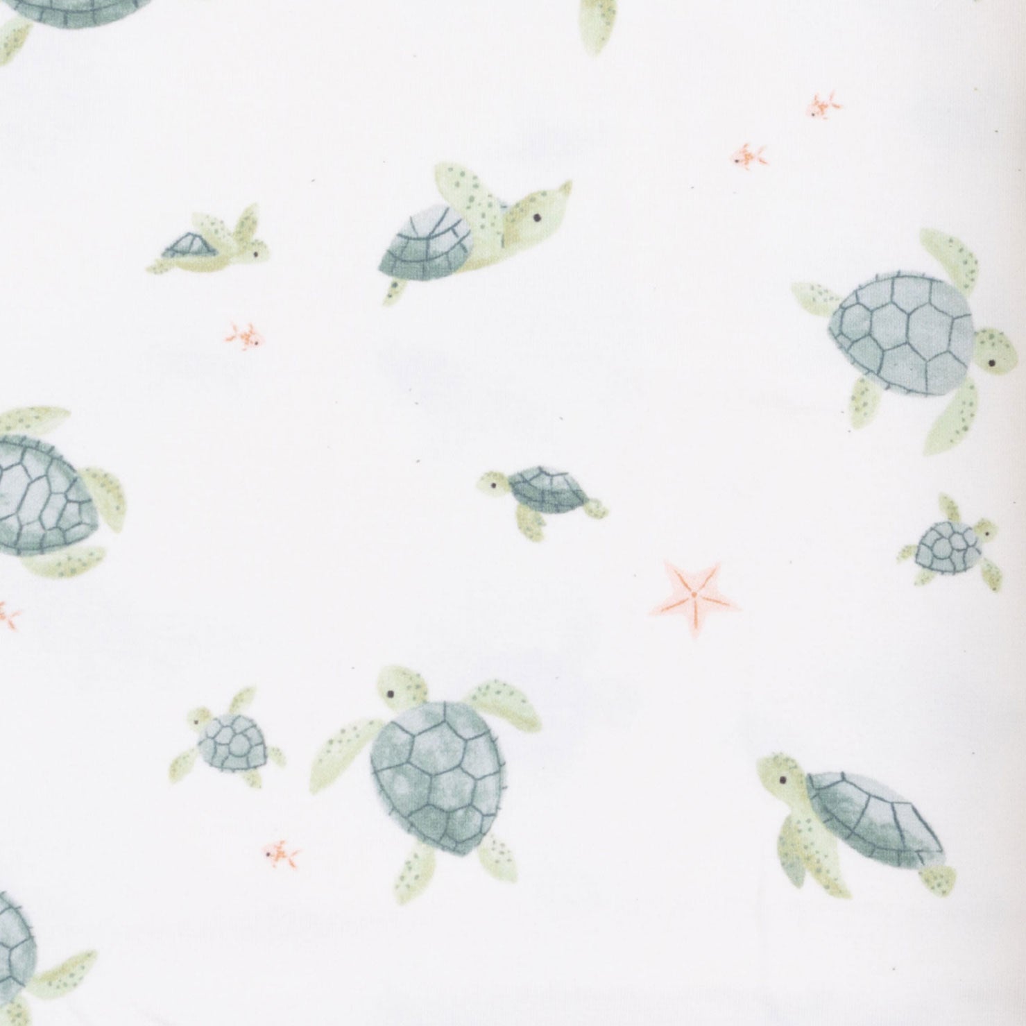 <!--SS26-->Sea Turtles