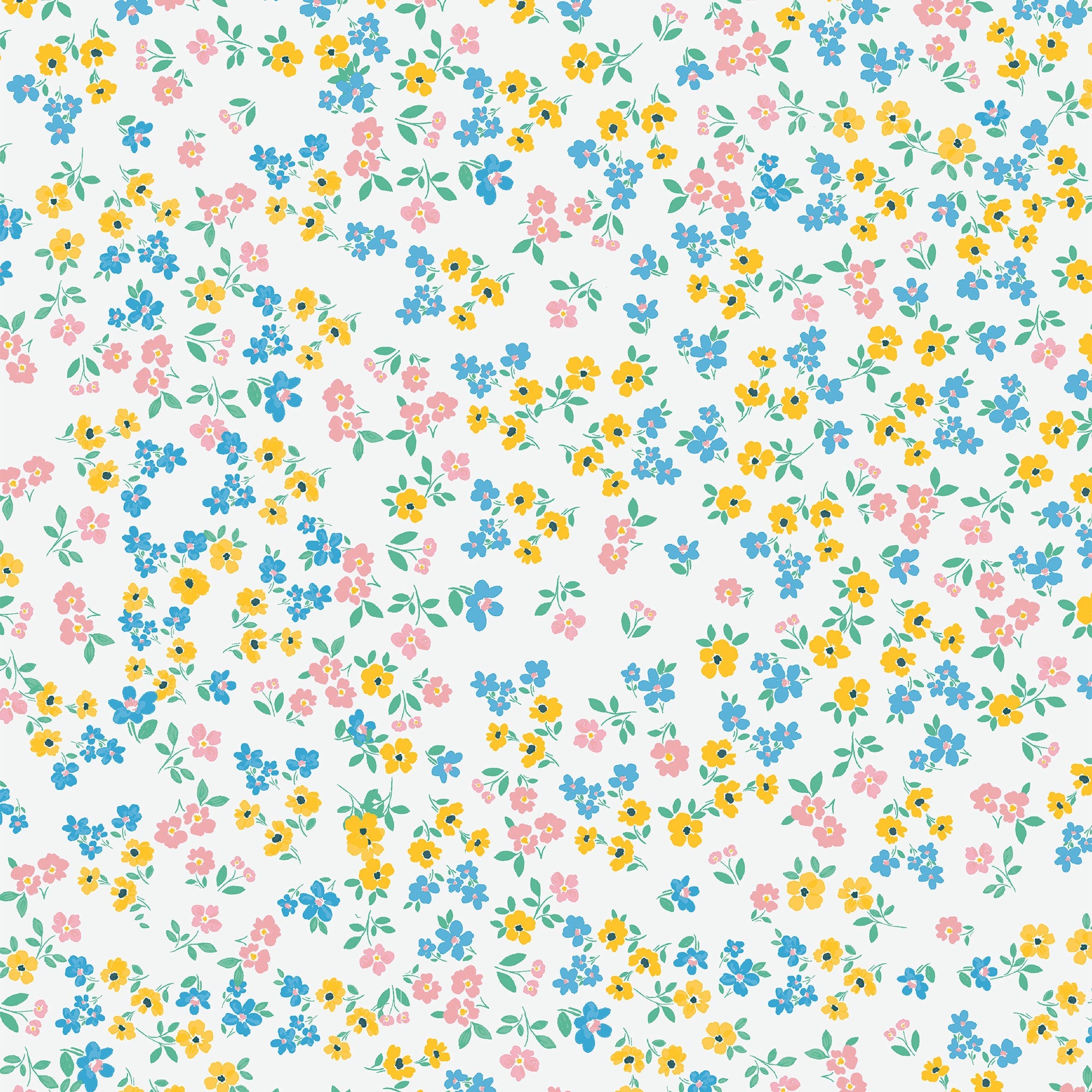 <!--SS25--> Caroline's Calico