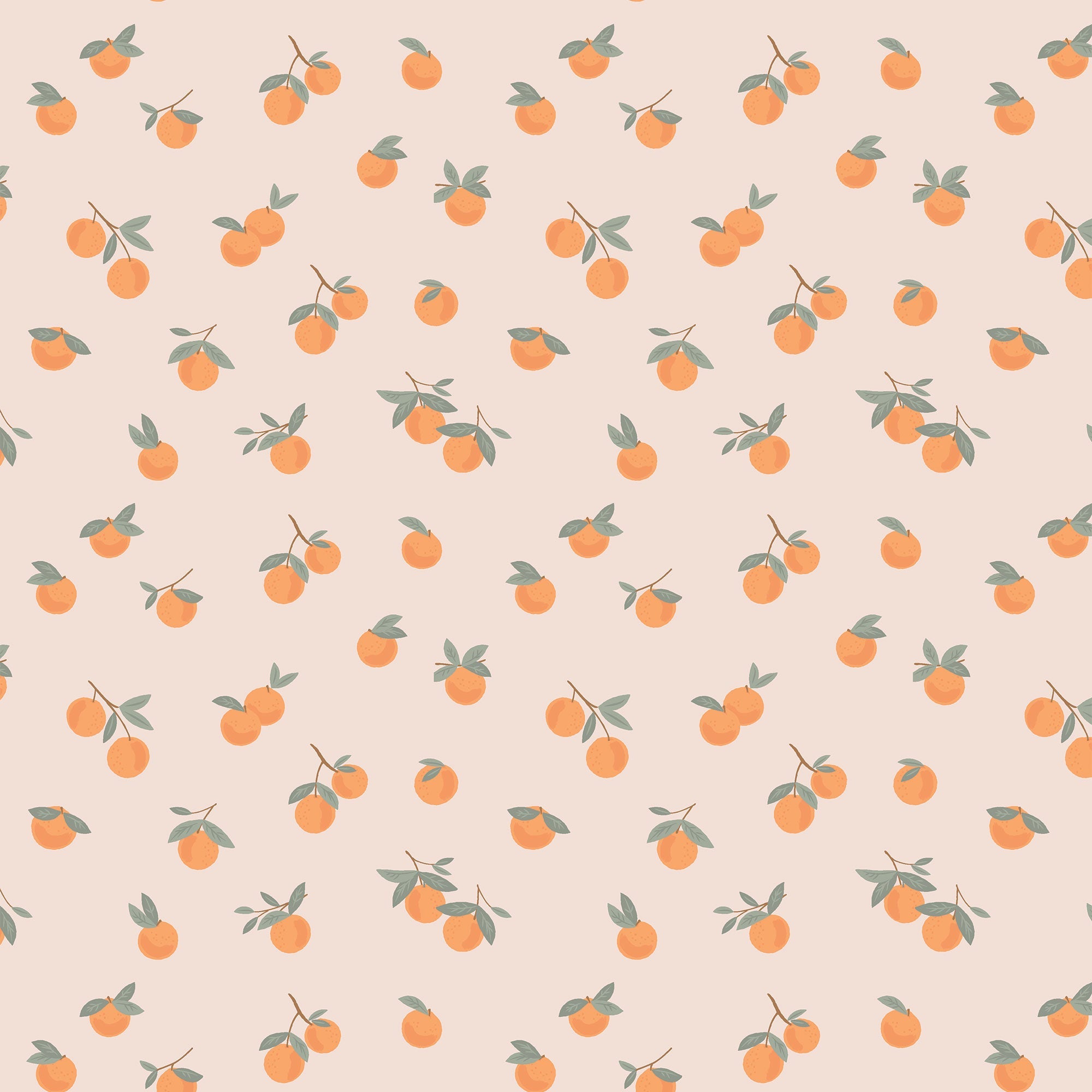 <!--SS25--> Sweet Clementines