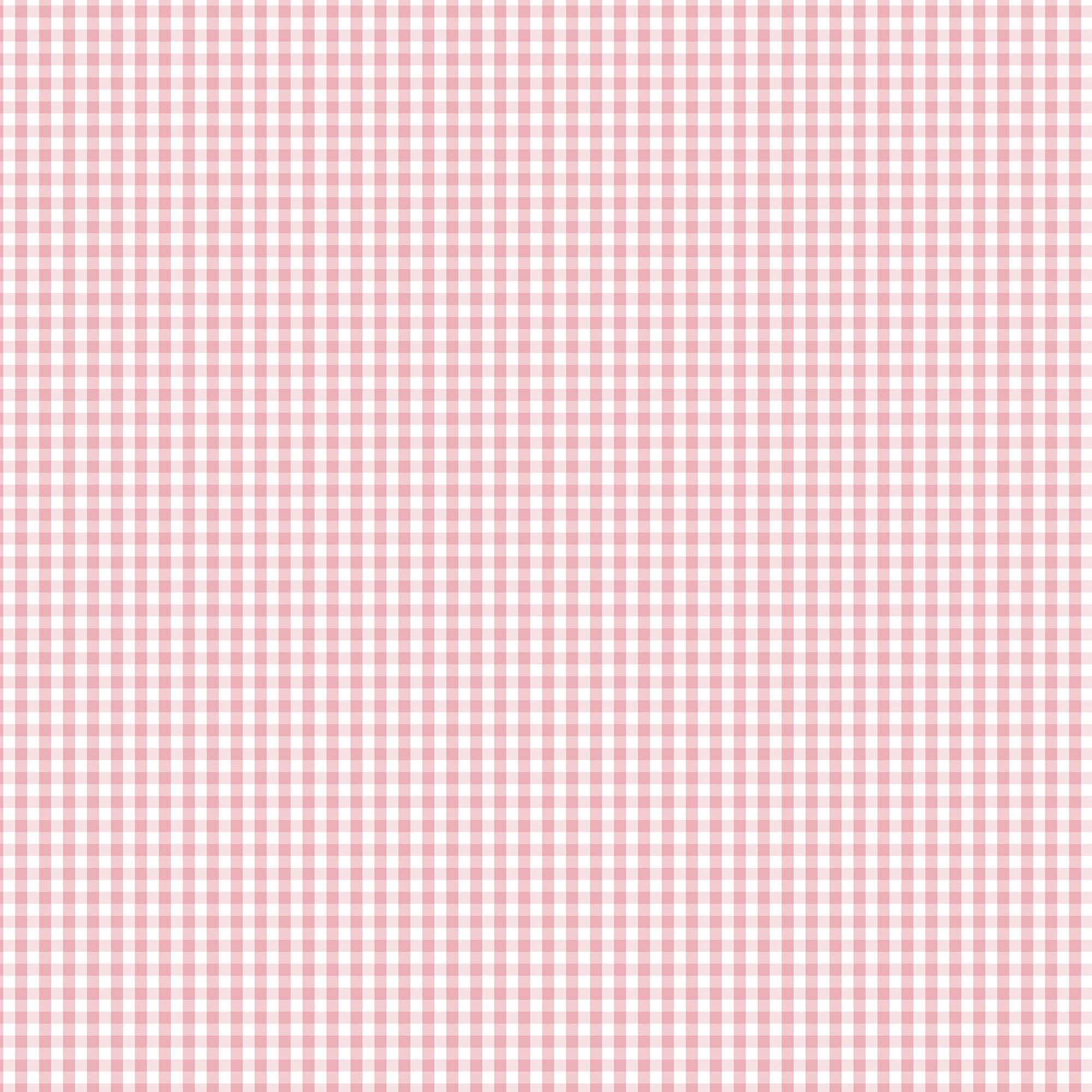 <!--SS25--> Mini Gingham Pink