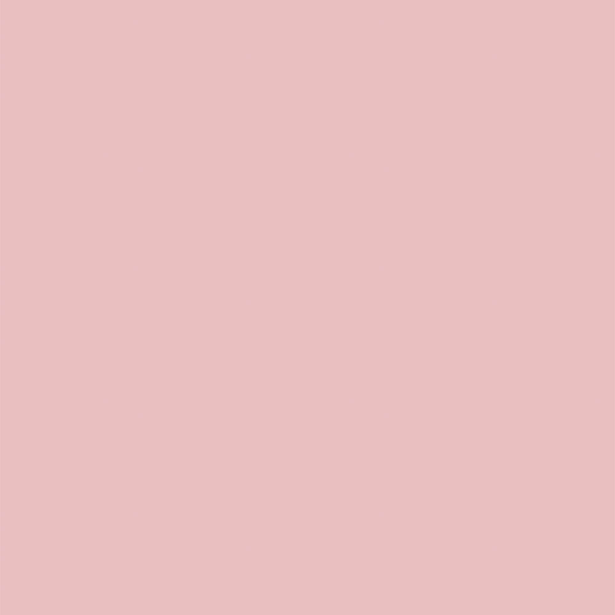 <!--SS26-->Solid Lotus