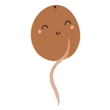 cute illustration of a potato with root