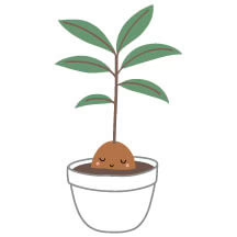 cute illustration of a growing potato plant on a planter with leaves