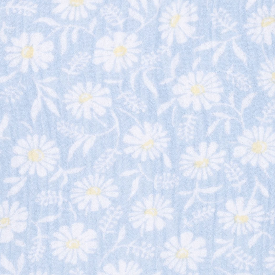 <!--SS26-->Western Daisies