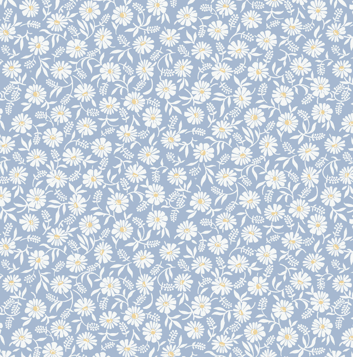 <!--SS26-->Western Daisies