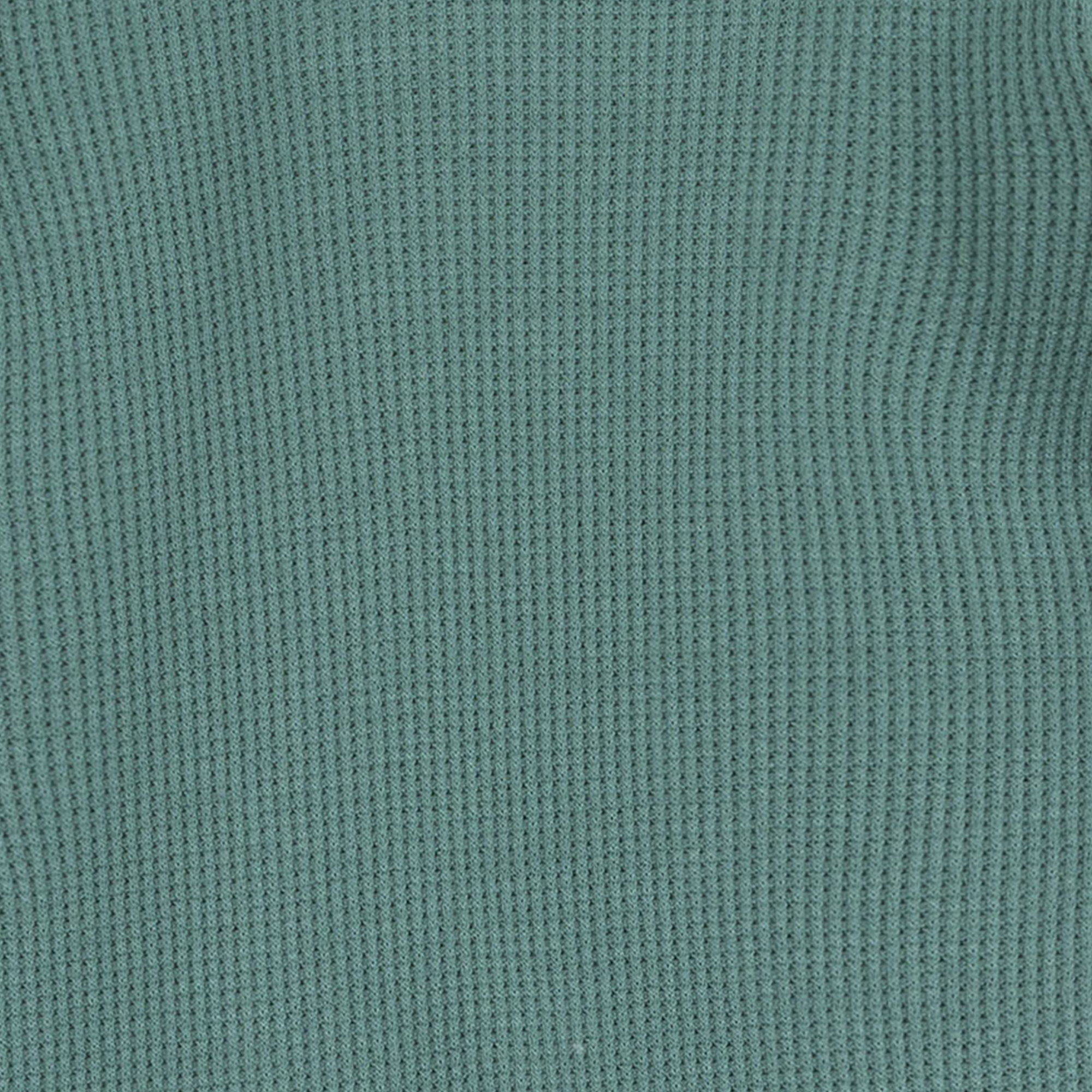 <!--FW25--> Frosty Spruce