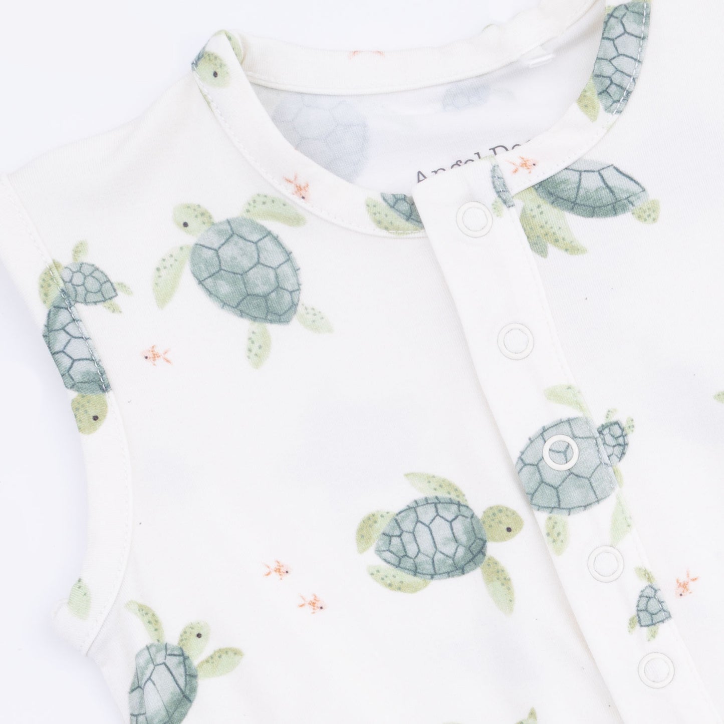 Sea Turtles - Henley Bubble