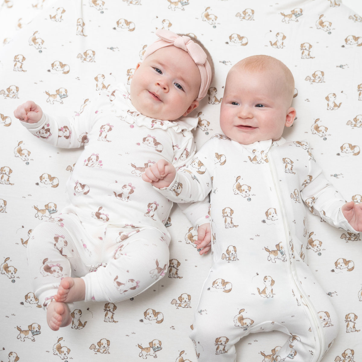 Explorer Puppy Pink - Long Sleeve Ruffle Top and Pant
