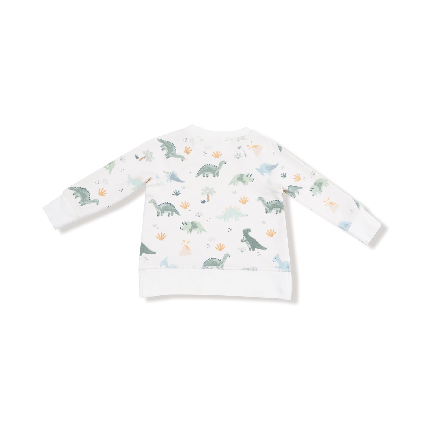 Raglan Sweatshirt + Jogger Set in our  Soft Dinos - Green print from Angel Dear