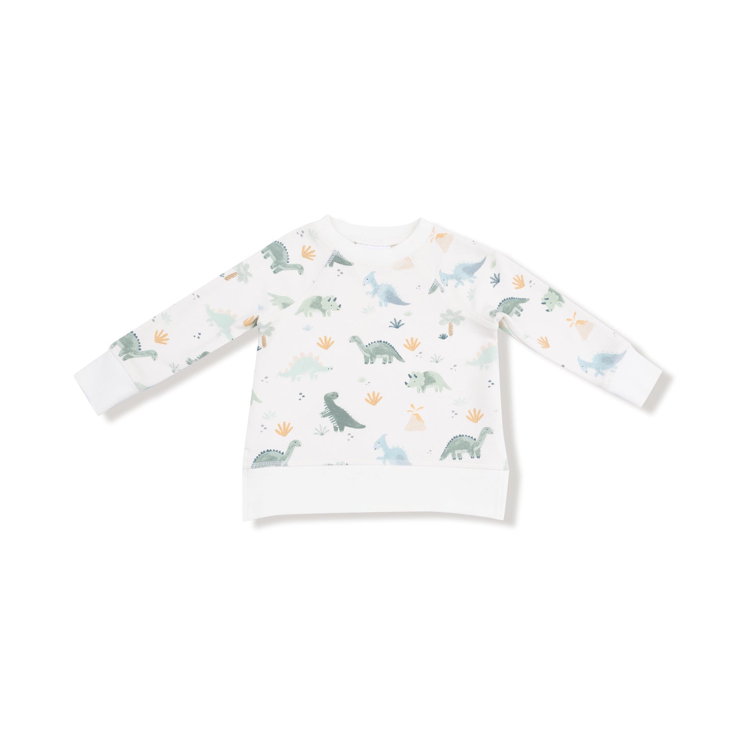Raglan Sweatshirt + Jogger Set in our  Soft Dinos - Green print from Angel Dear