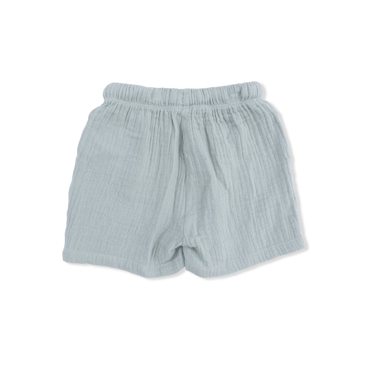 Sea Turtles - Polo with Casual Short-Angel Dear