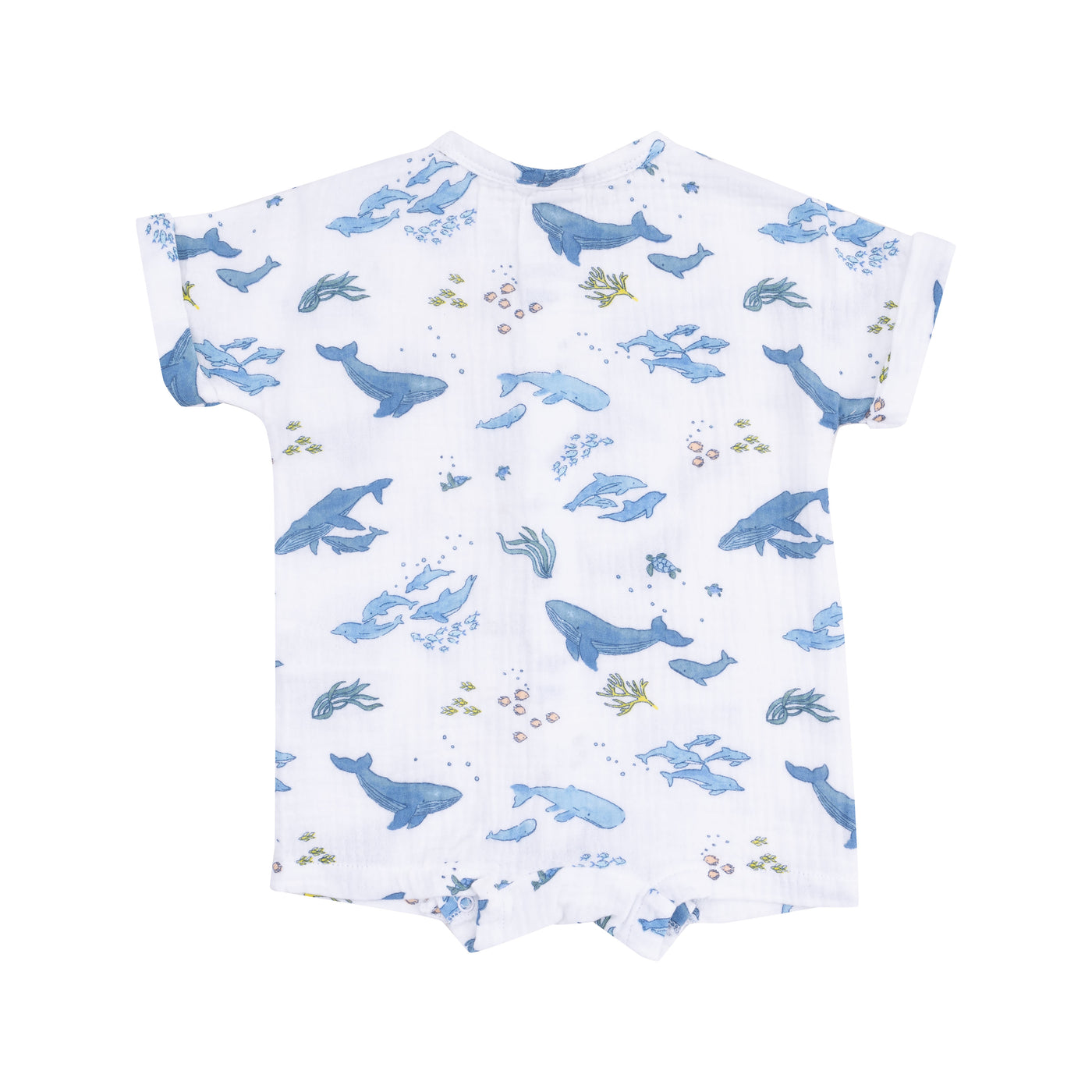 Dolman Henley Shortall - Watercolor Blue Whales