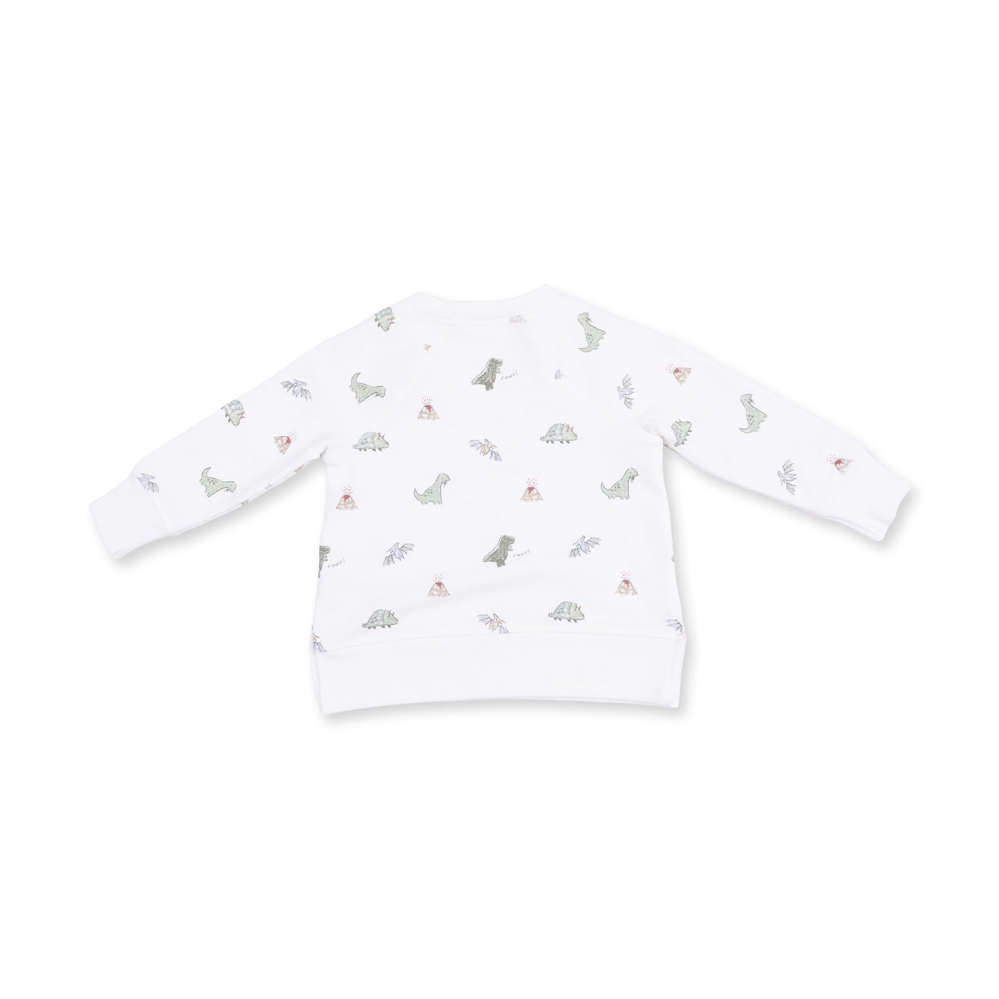 Dinos French Terry - Raglan Sweatshirt