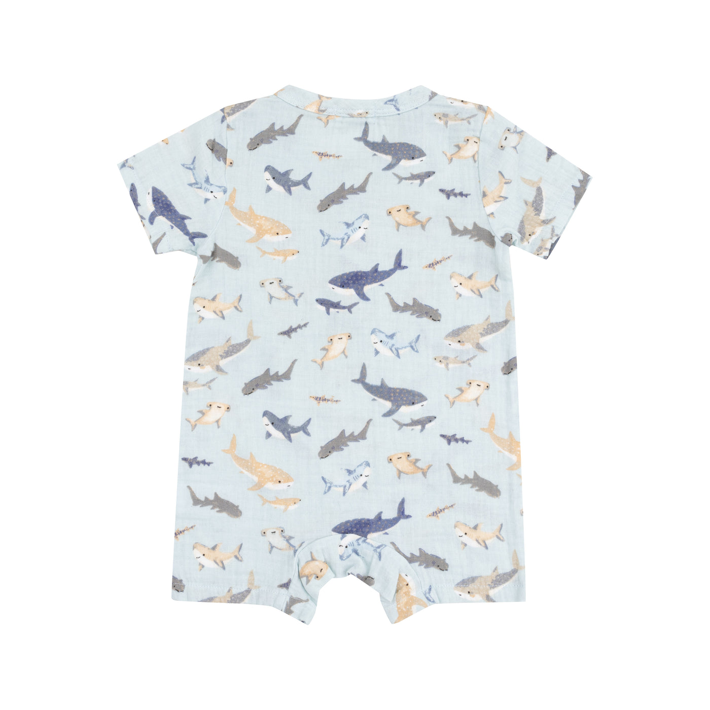 Henley Shortall - Sharks