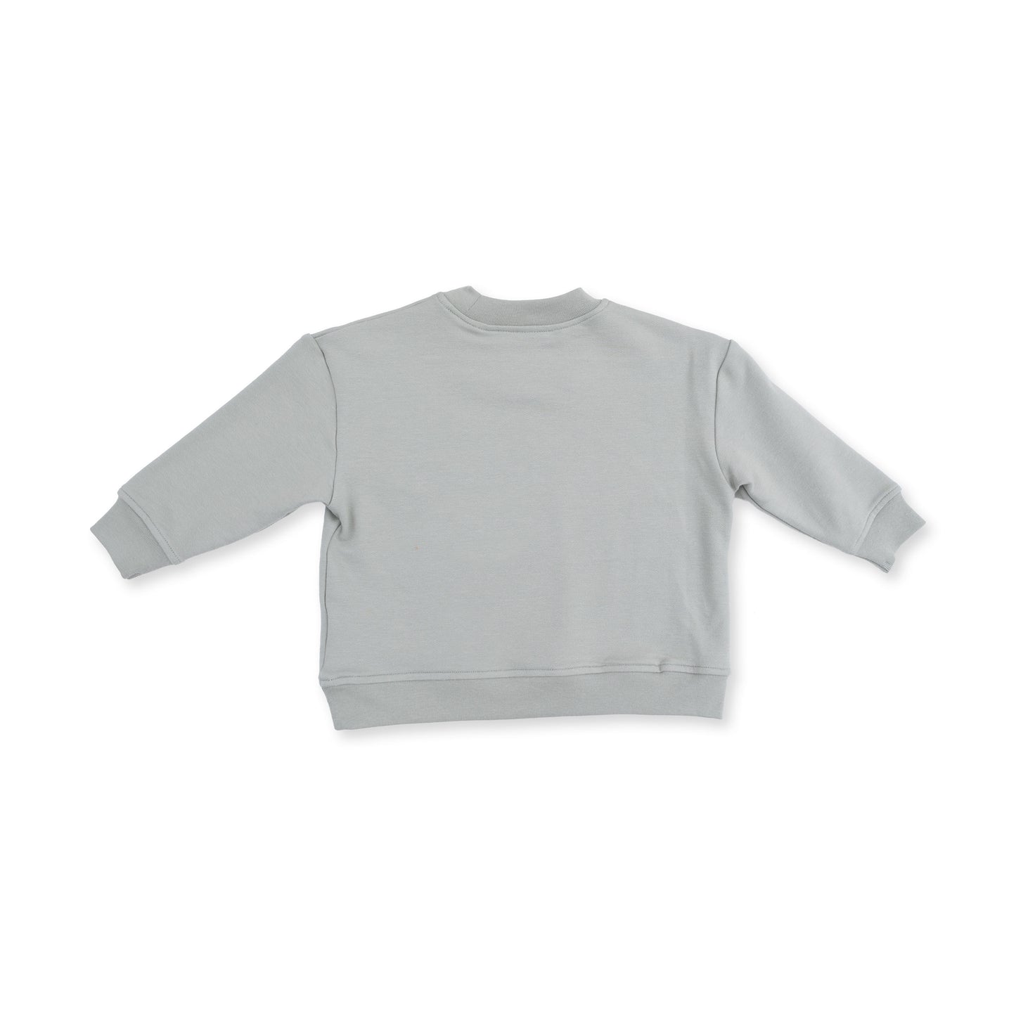 Dinos French Terry - Drop Sleeve Sweatshirt